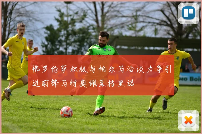 佛罗伦萨积极与帕尔马洽谈力争引进前锋马特奥佩莱格里诺